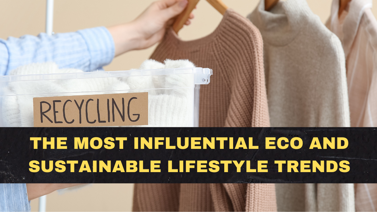 The Most Influential Eco and Sustainable Lifestyle Trends of 2026