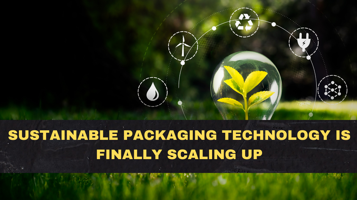 Sustainable Packaging Technology Is Finally Scaling Up